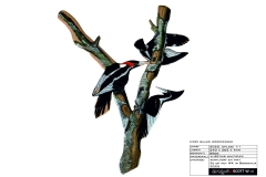 0001_woodpecker