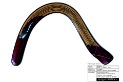 0030_fishook_shark