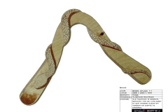 0047_snake