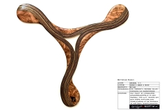 0067_octopus_curvy