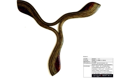 0070_curvy_02