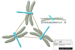 0097_3_feathers_dragonfly3