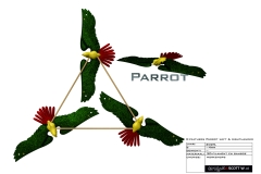 0097_3_feathers_parrot
