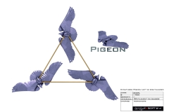0097_3_feathers_pigeon
