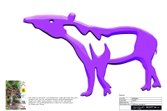 0098_tapir