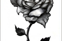 roos002