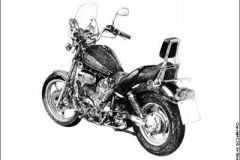 virago