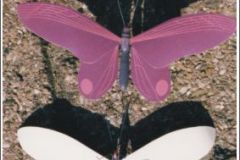 vlinder01s