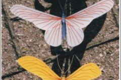 vlinder02s