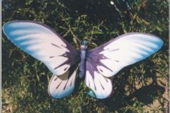 vlinder09