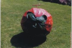 aardbei1