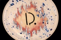 draai008s