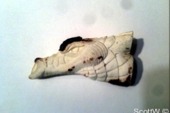 dragon_02