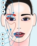 face_options