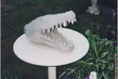 krokodil2