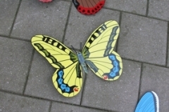muurvlinder01