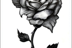 roos002