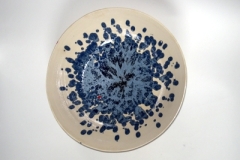 schaal0011