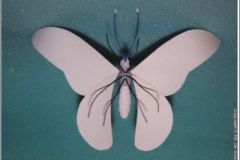 vlinder05b