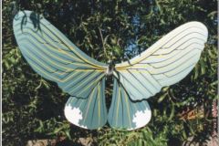 vlinder10b